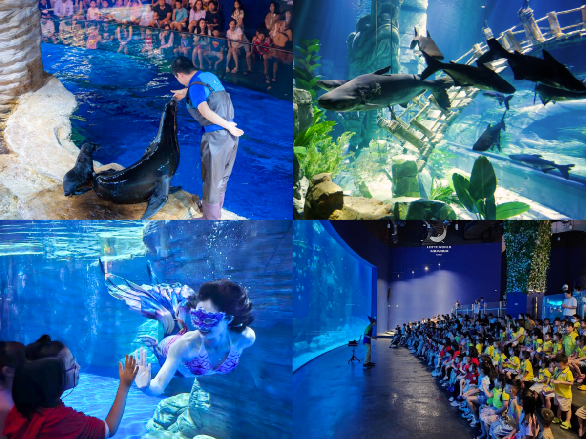 lotte world aquarium hanoi
