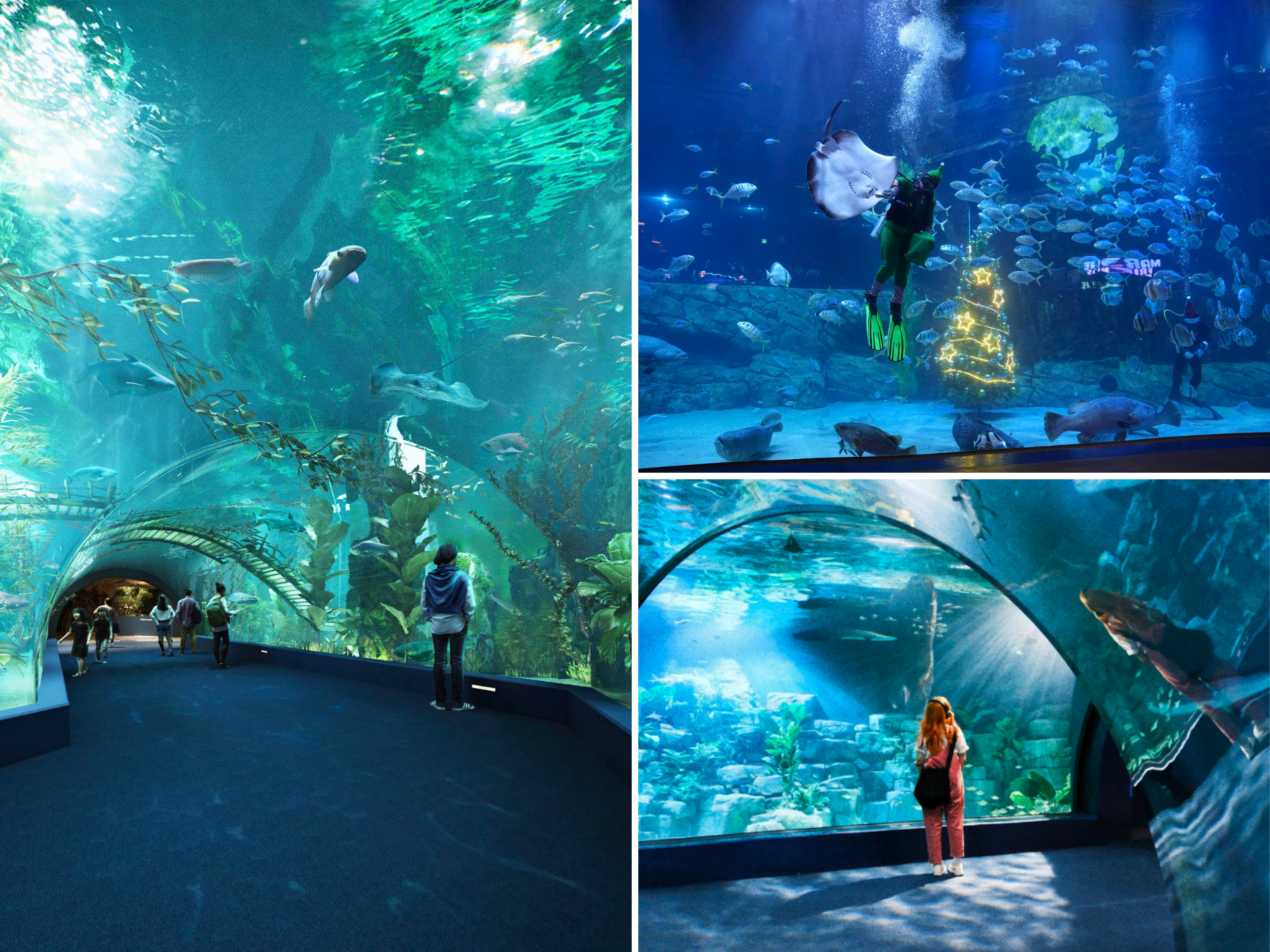 Lotte World Aquarium Hanoi