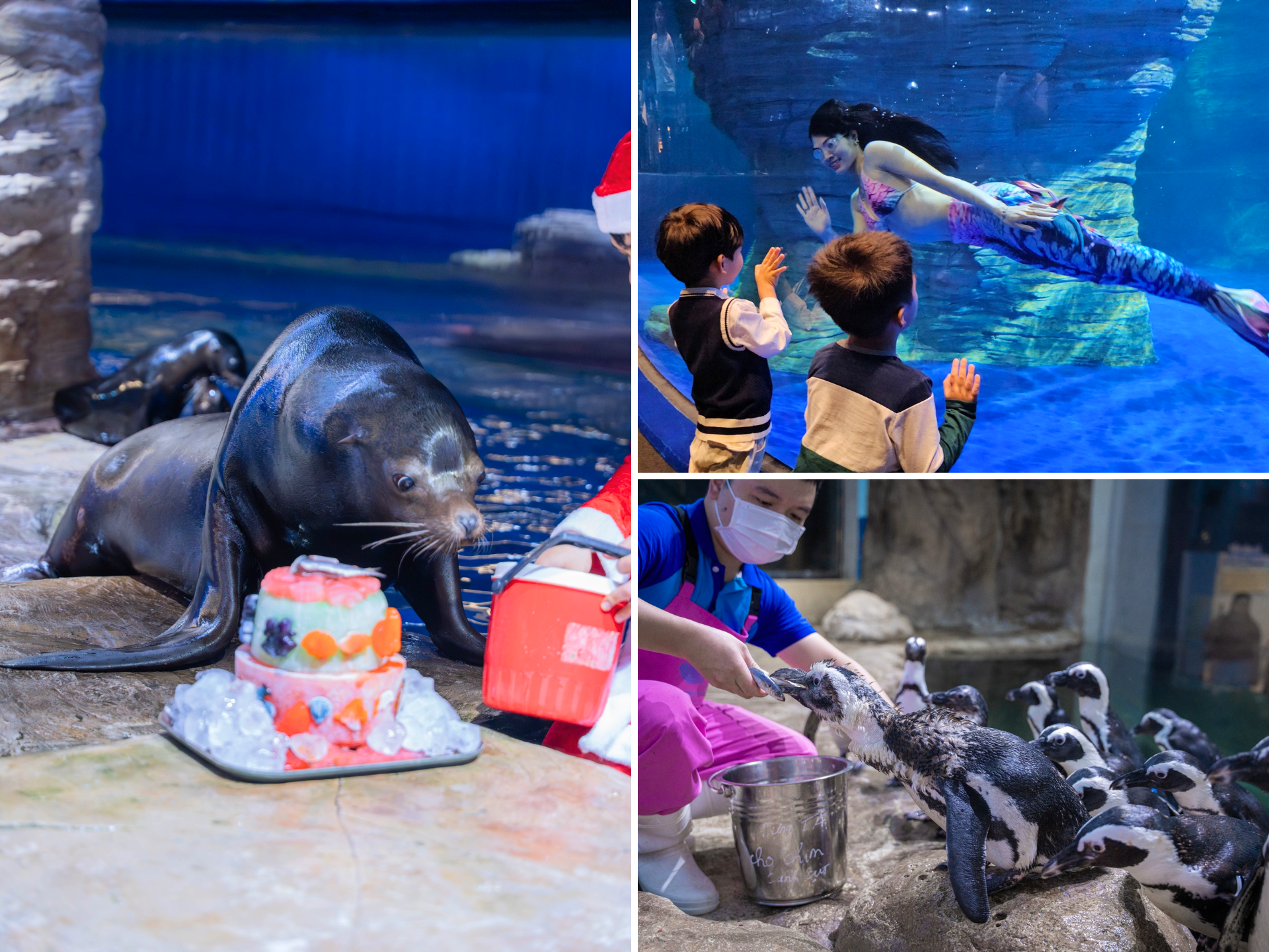 Lotte World Aquarium Hanoi