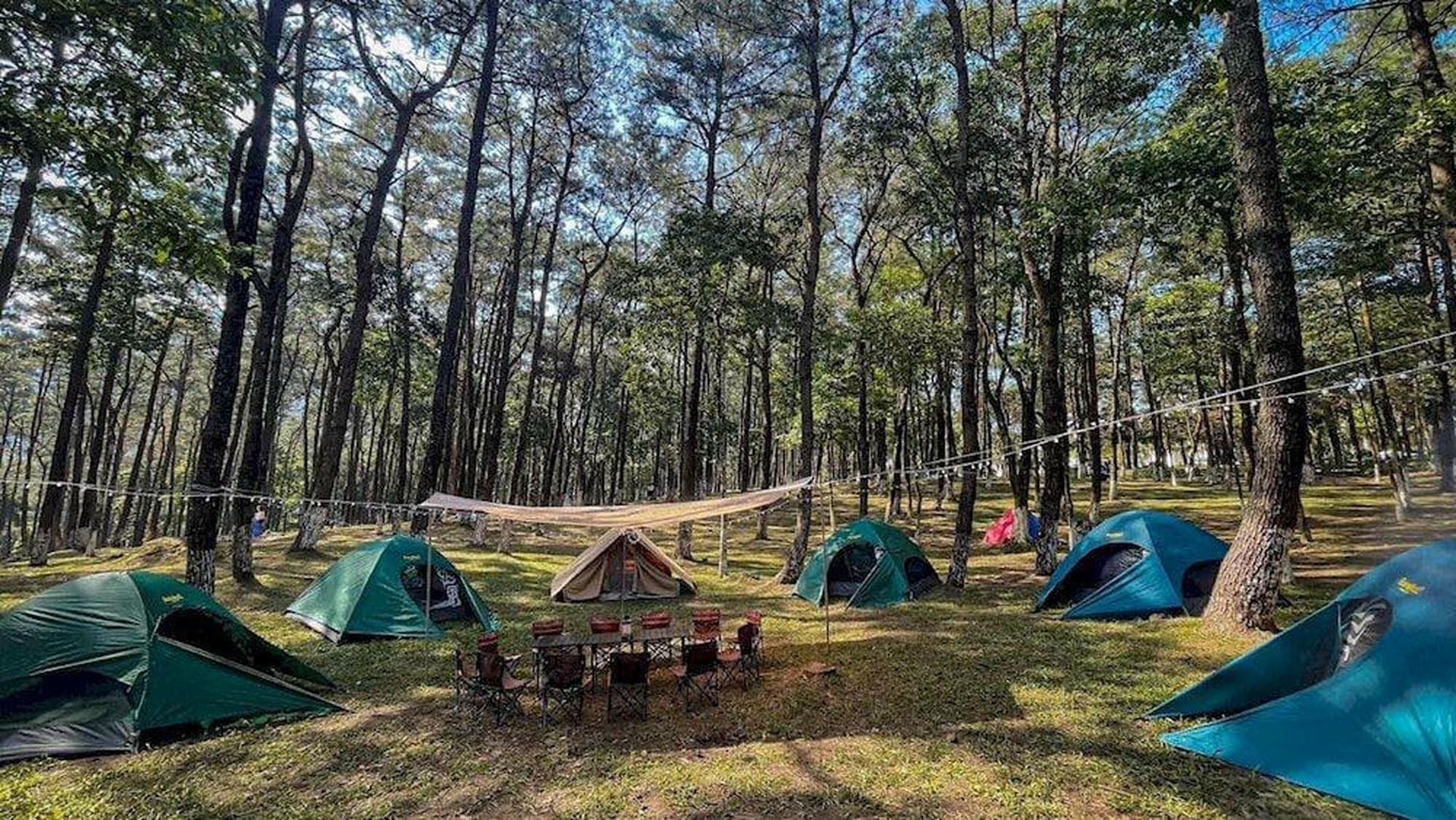 Camping and Trekking in Ba Vi National Park is worth visiting when thinking about How many days is enough in Hanoi and where to go