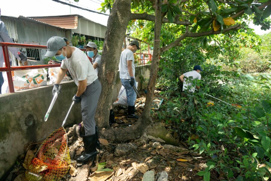 World Environment Day 2026