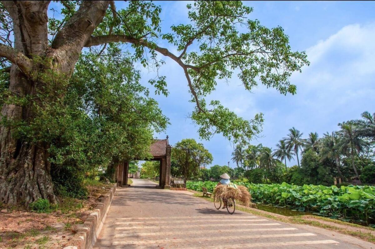 cong lang cay da - duong lam ancient village